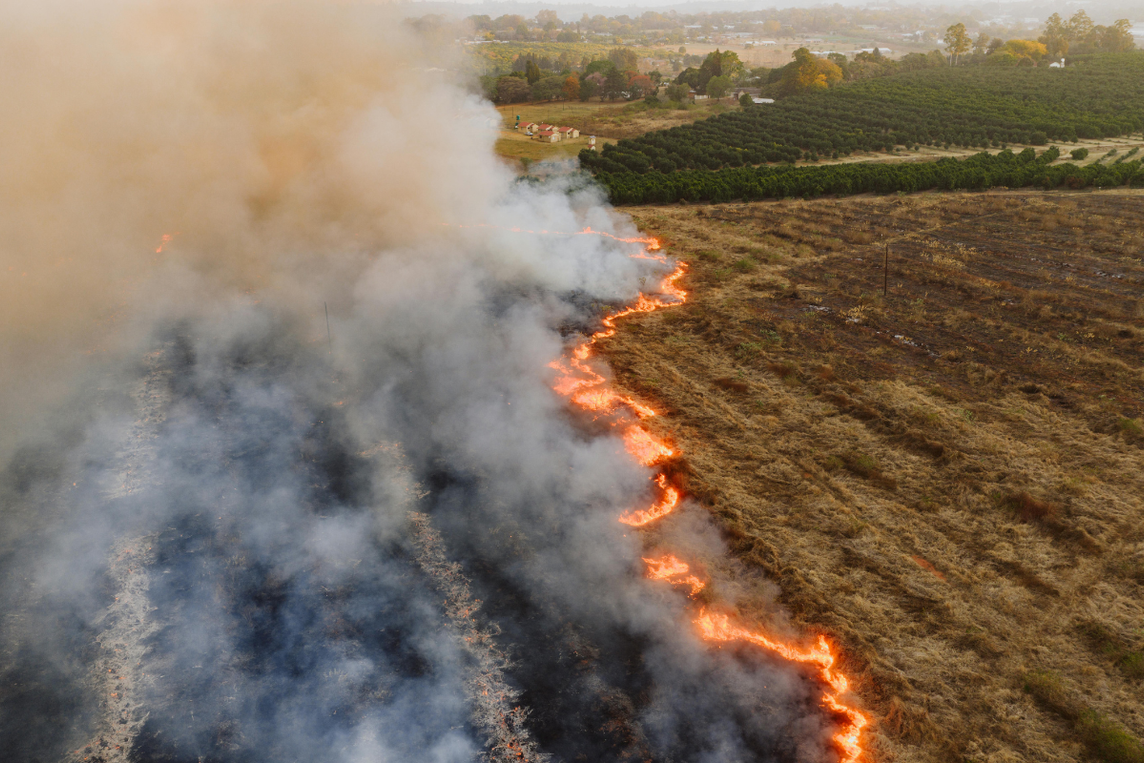 Foco de incêndio em área de pastagem no Cerrado